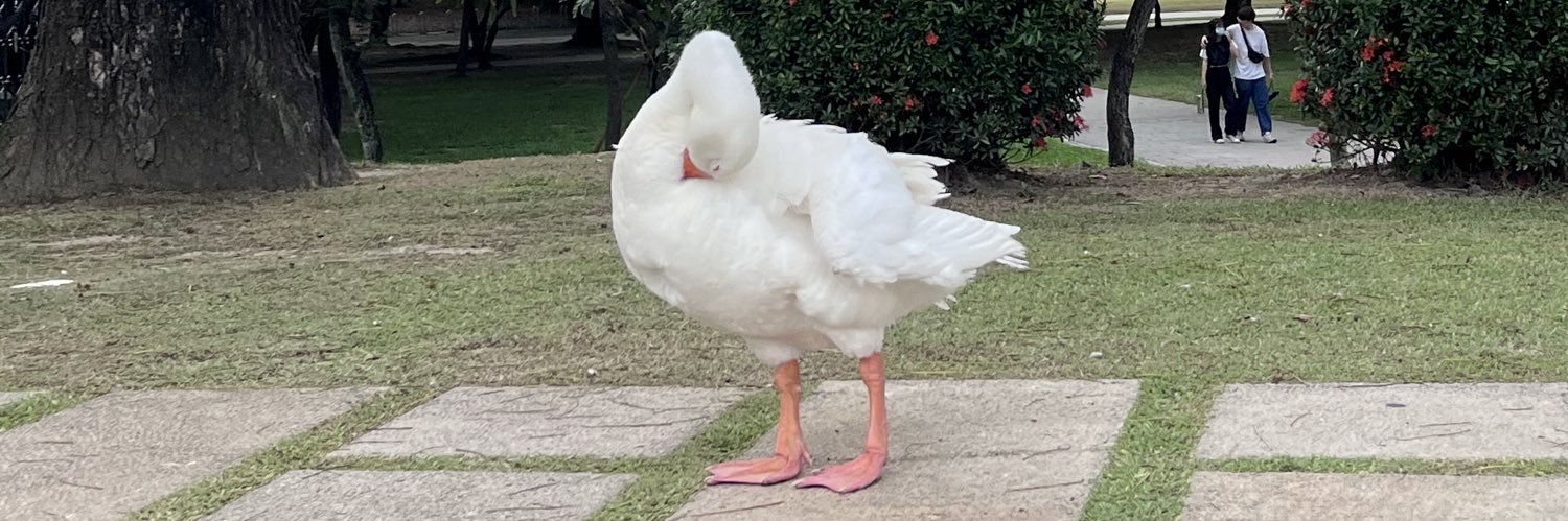 Emile.C🎄罐罐 banner