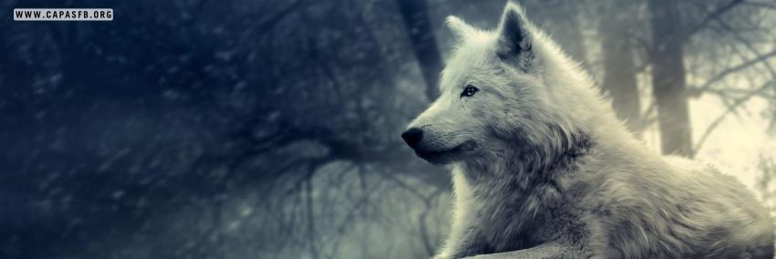 _lucas215's profile banner image