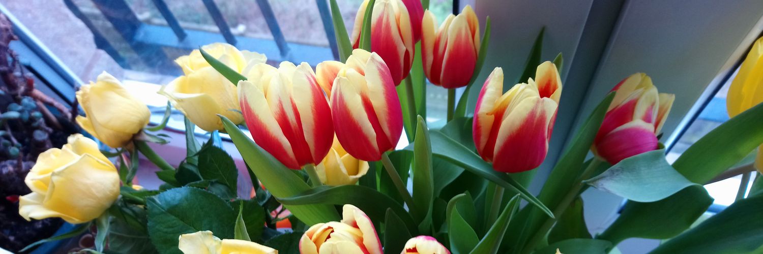 Catherine Goodfellow banner