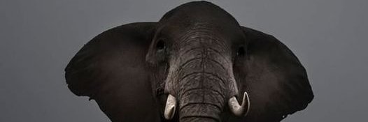 BessonNt's profile banner image