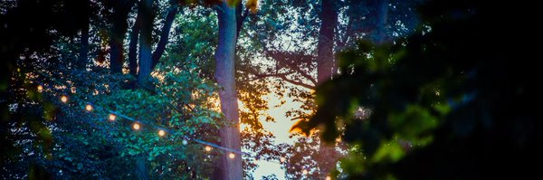 acidshards Profile Banner