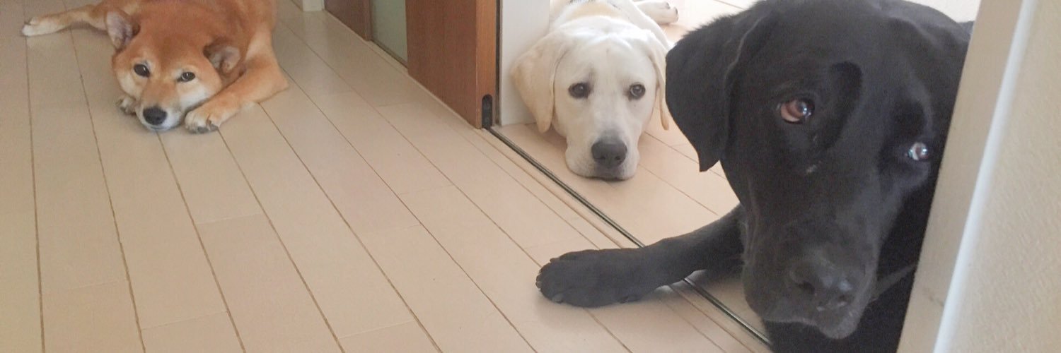 Ai_3dogs's profile banner image