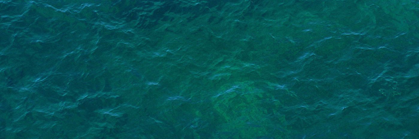 PeterWolfFlow's profile banner image