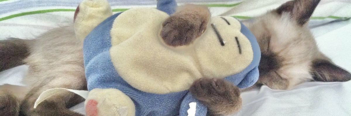 ripmanifest's profile banner image
