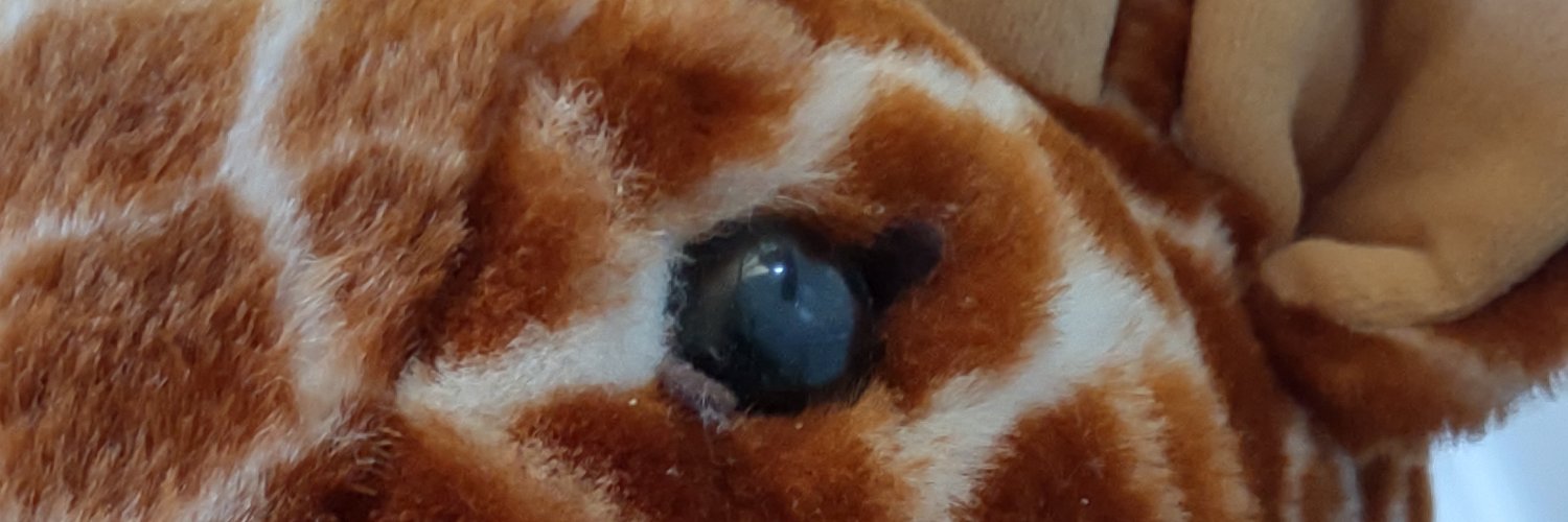 MothersPhoenix's profile banner image