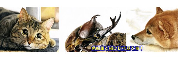 Cocomaru_S Profile Banner