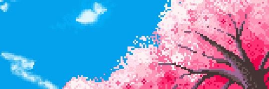 kushy_bee's profile banner image