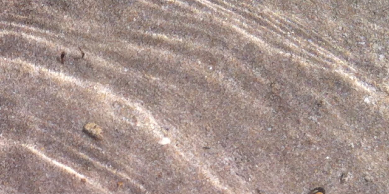 laura_ug's profile banner image