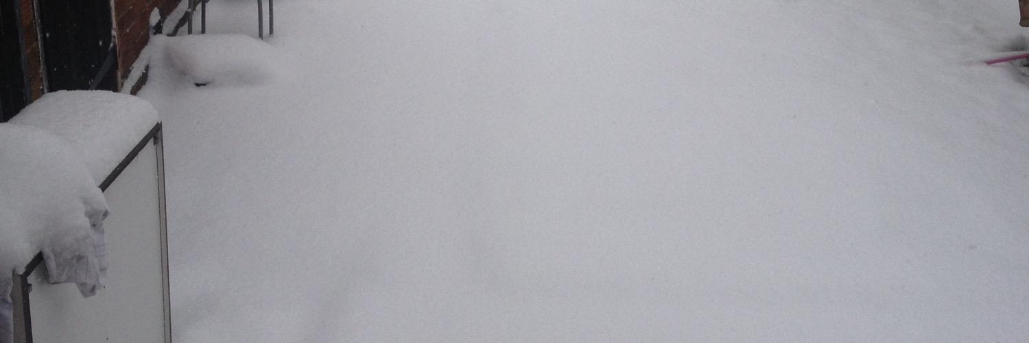 chipku07's profile banner image