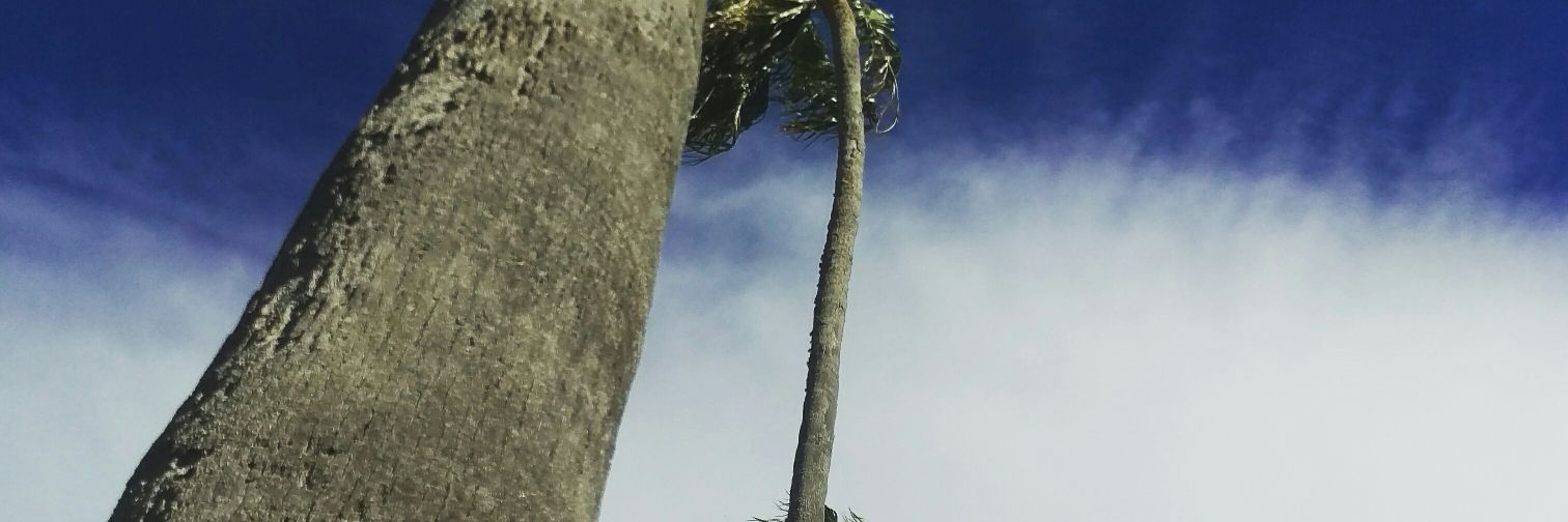 pj_orr's profile banner image