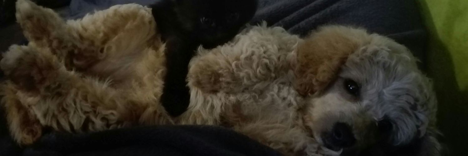 AnneMereteGN's profile banner image