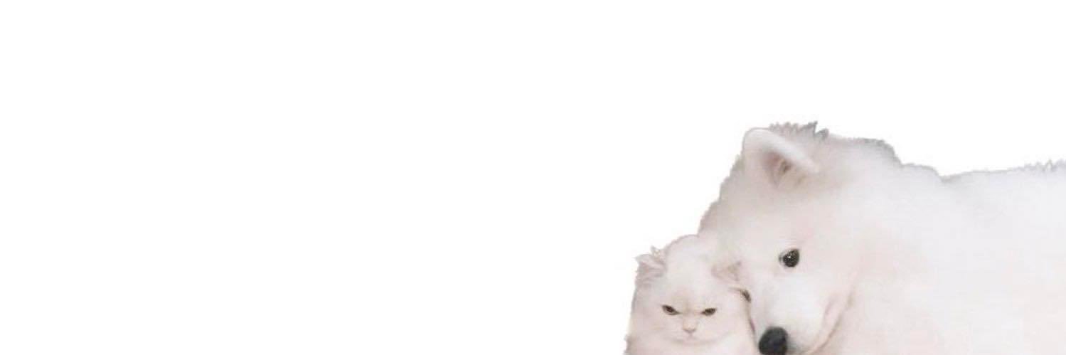 daeguxcx's profile banner image
