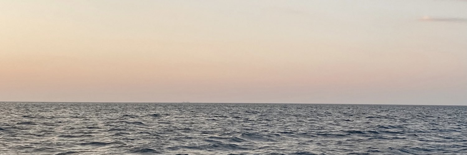 Susanna Beccaccini banner