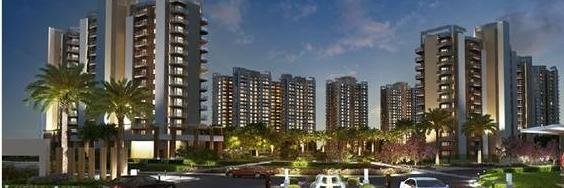 samridhi_group's profile banner image