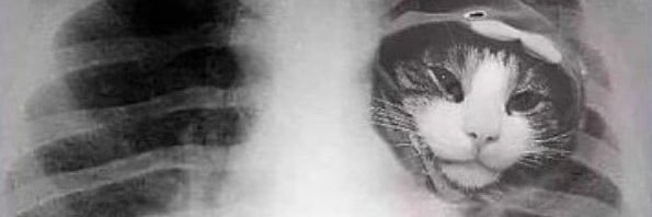 ensakalin's profile banner image