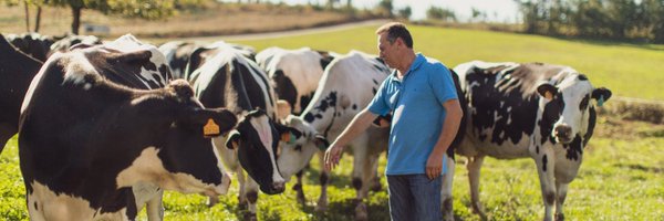 LecheUnicla Profile Banner