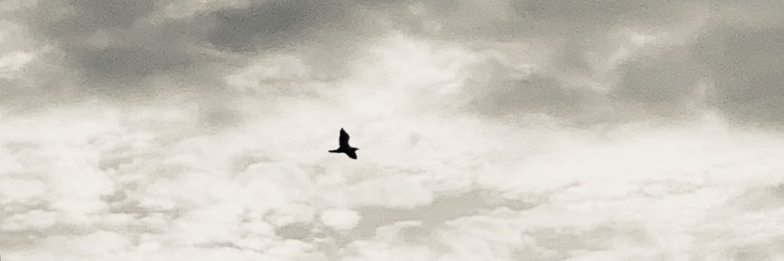 Anele_2015's profile banner image