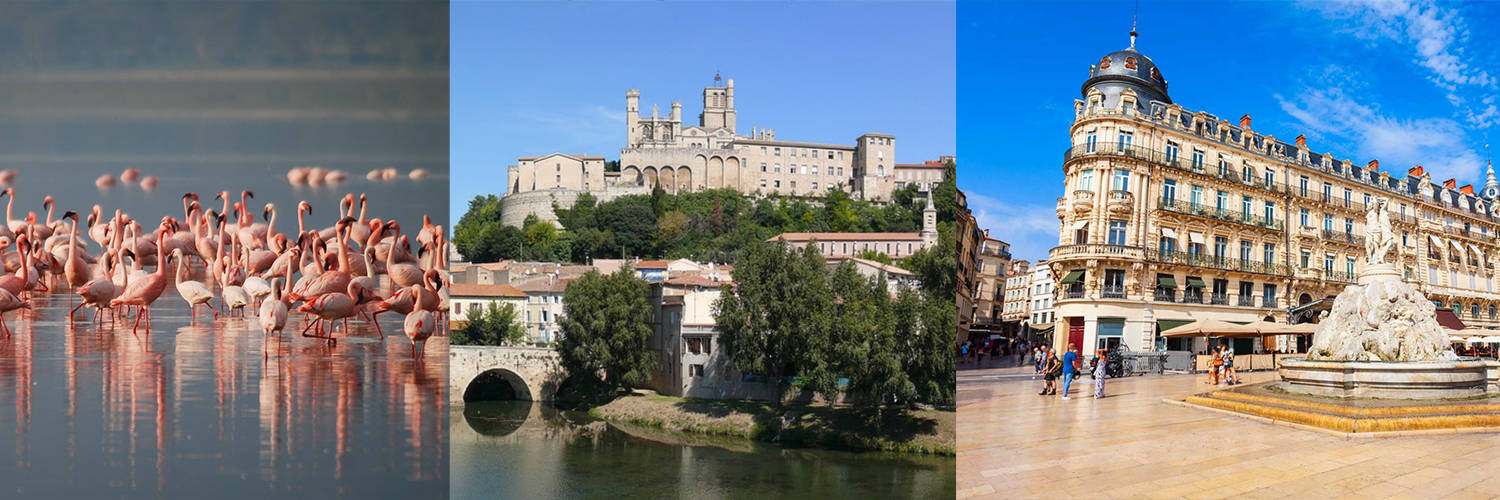 Caf de l'Hérault banner