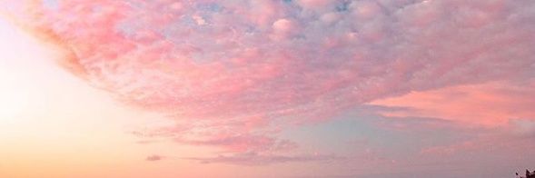CarolRoos's profile banner image