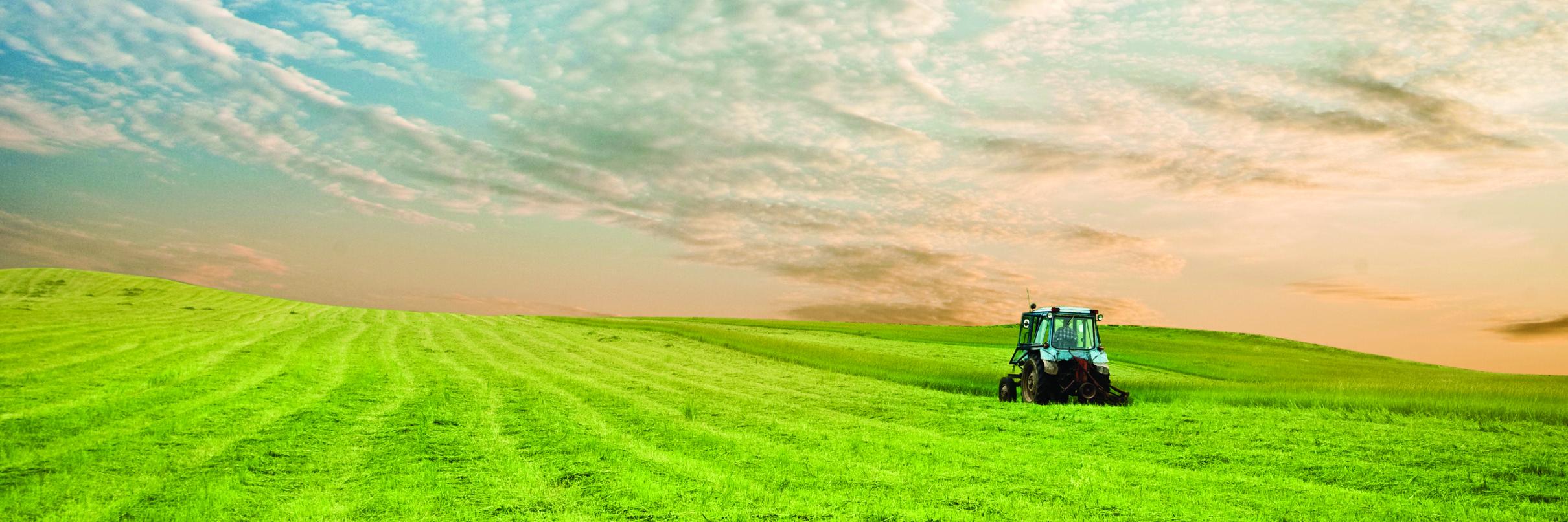 KtSmallholding's profile banner image