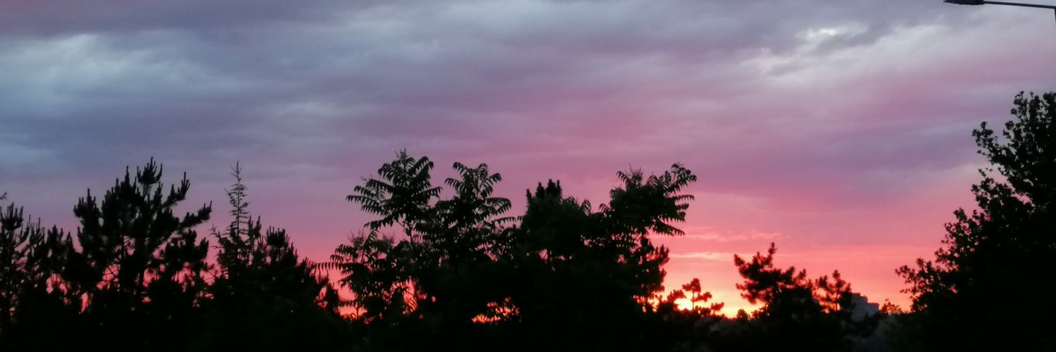 rexbatii's profile banner image