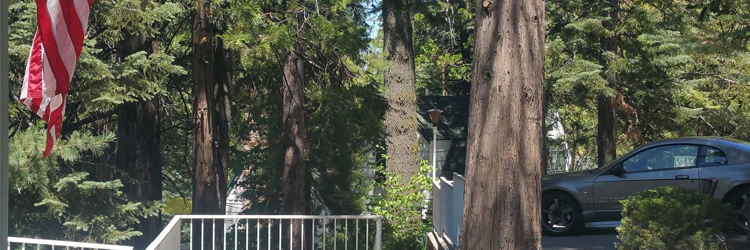 Ulv | Jeremy Torgerson banner