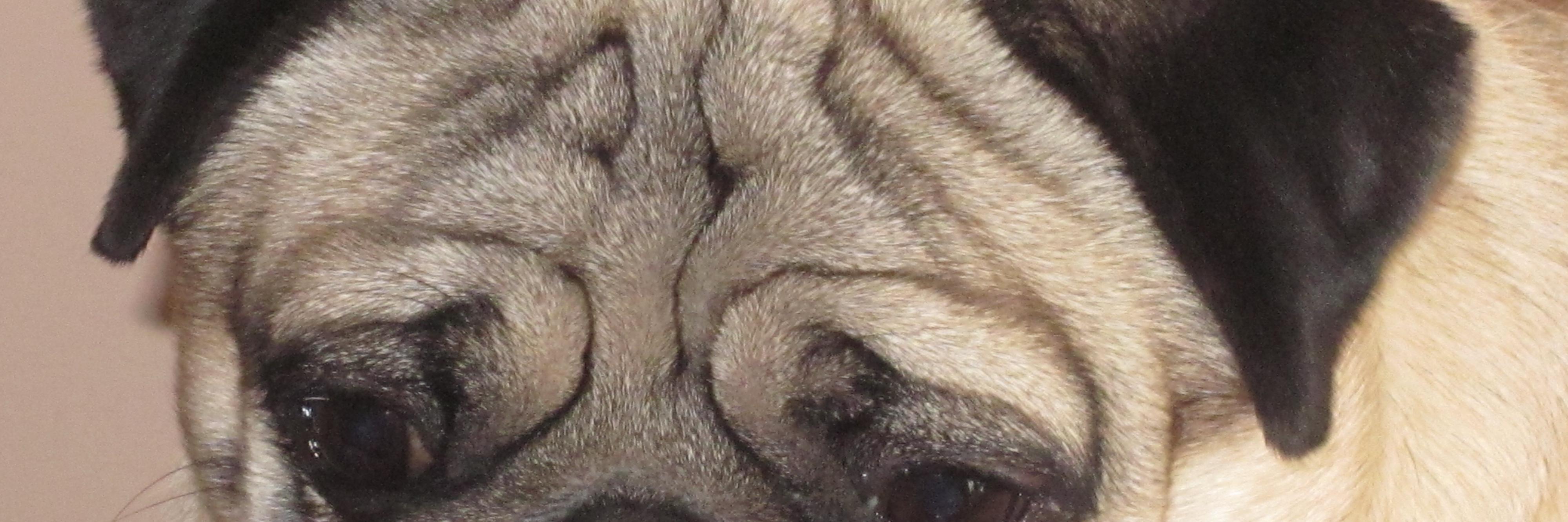 beppemarche's profile banner image