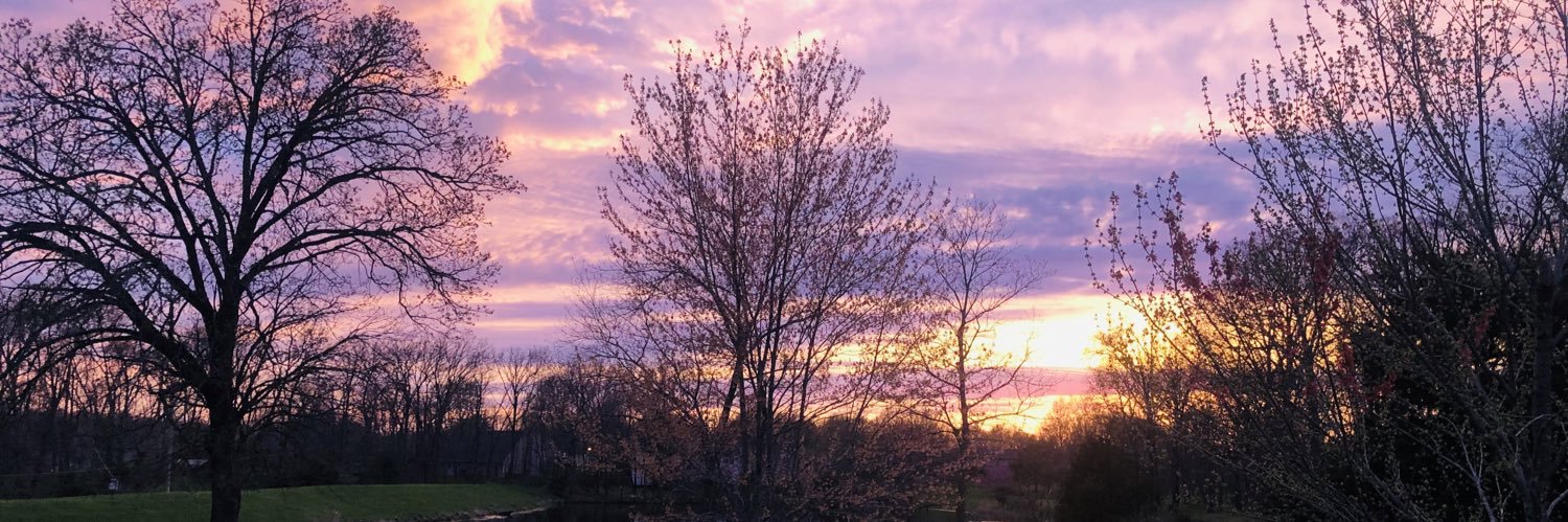RachelNewman2's profile banner image