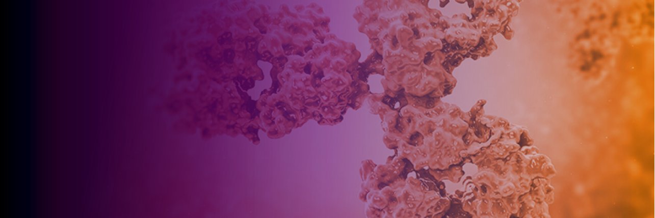 Immune Checkpoints banner