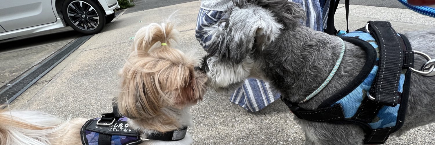 ☆な〜ちん☆ banner