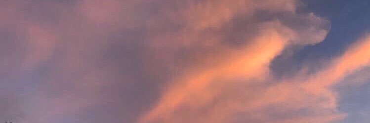 ericaflowahs's profile banner image