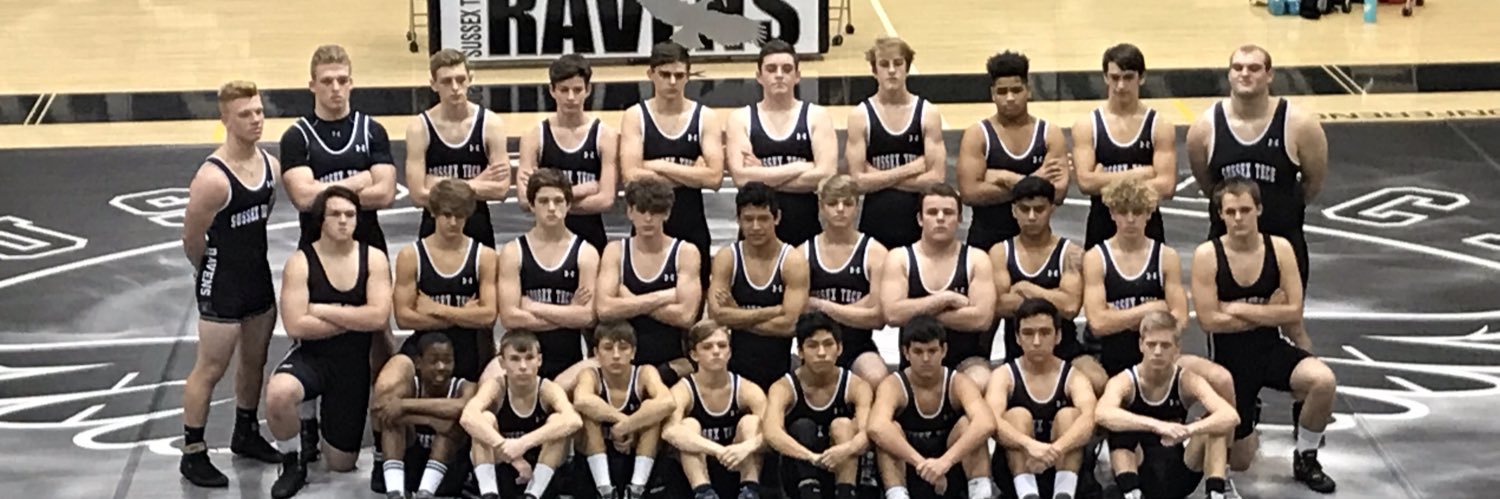 Tech Wrestling banner