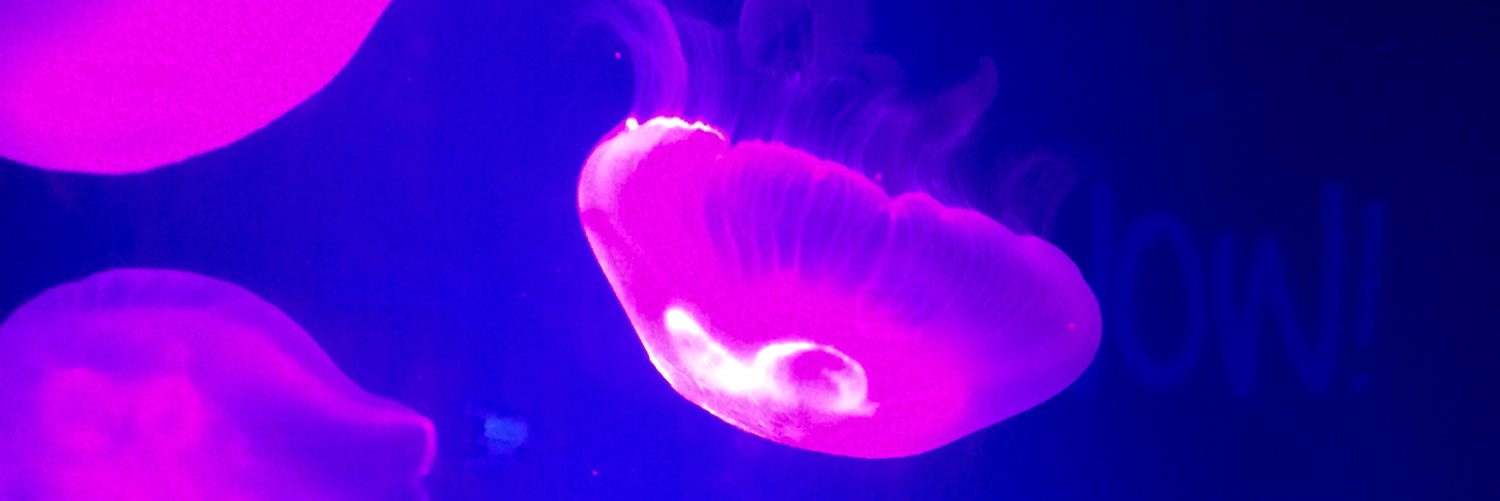 baljit chahal banner