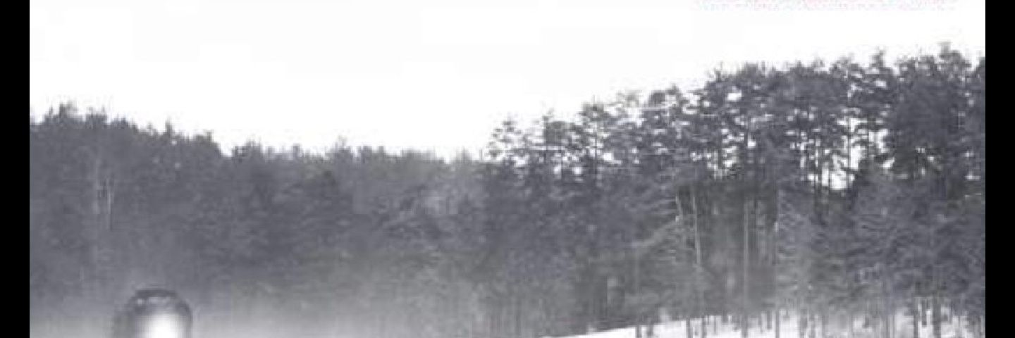 sn6130's profile banner image