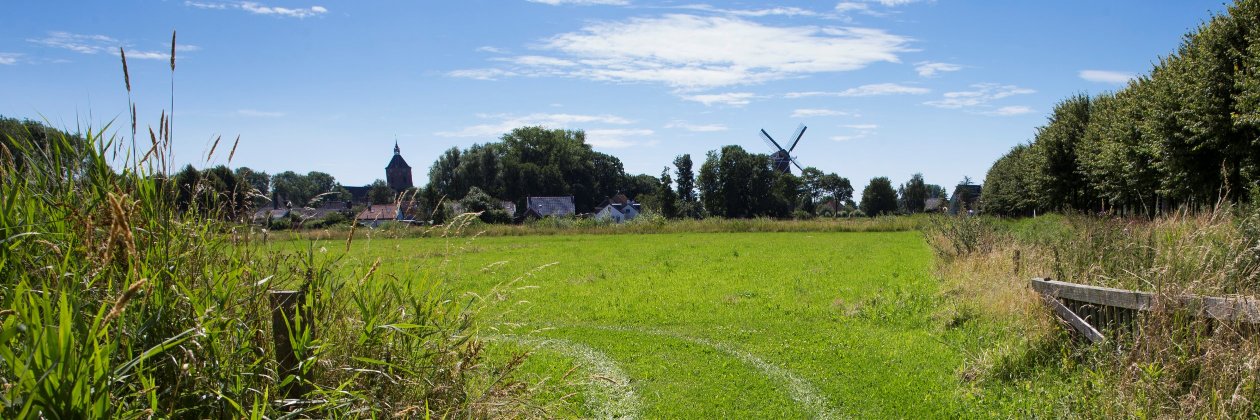 NCGroningen's profile banner image
