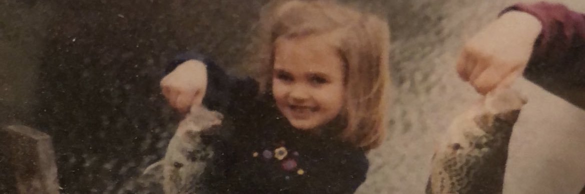 katharrison3's profile banner image