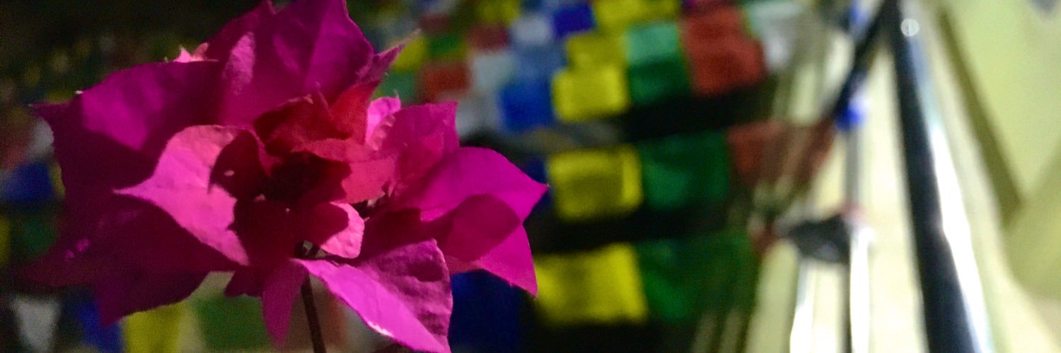 NationalTwitee's profile banner image