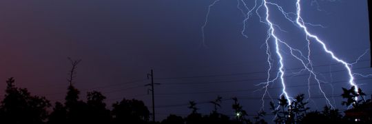 BigfernAllDay's profile banner image