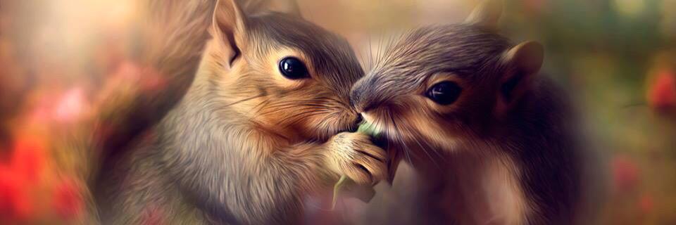 ceko6685's profile banner image