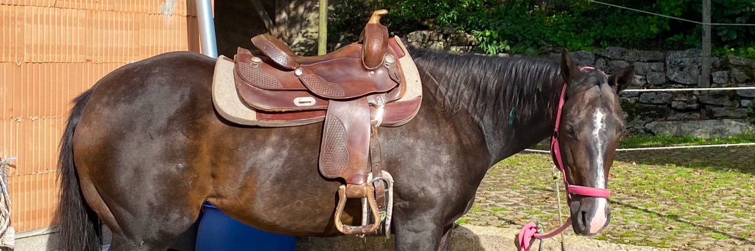 Bananenbringerin ×͜×🖖🏼⛥ banner