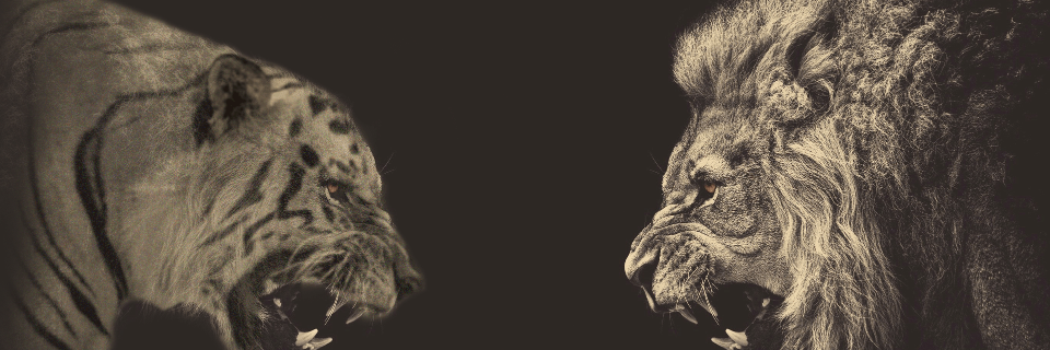 CharlesStater's profile banner image