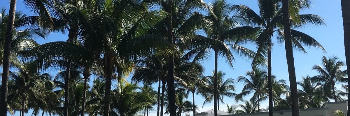 asnaeosc's profile banner image