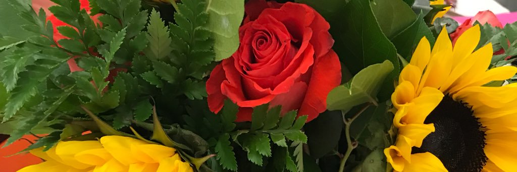ShaleahRoses's profile banner image