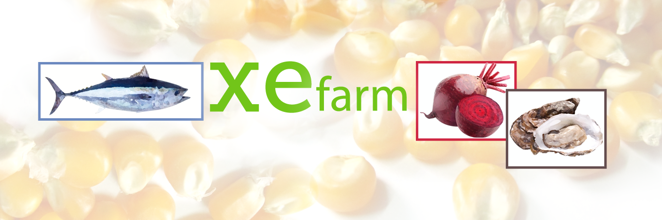 XeFarmFresh's profile banner image