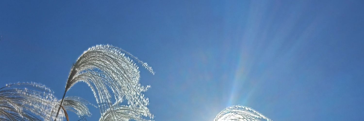 jatp_t's profile banner image
