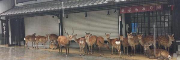 ____oxo_'s profile banner image