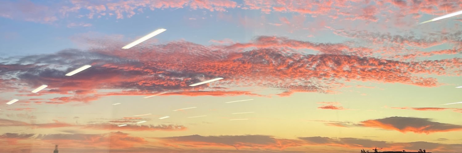 SolSandoval_'s profile banner image