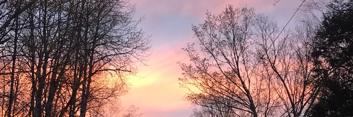 kathytemp1's profile banner image