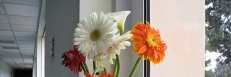 parhsya's profile banner image