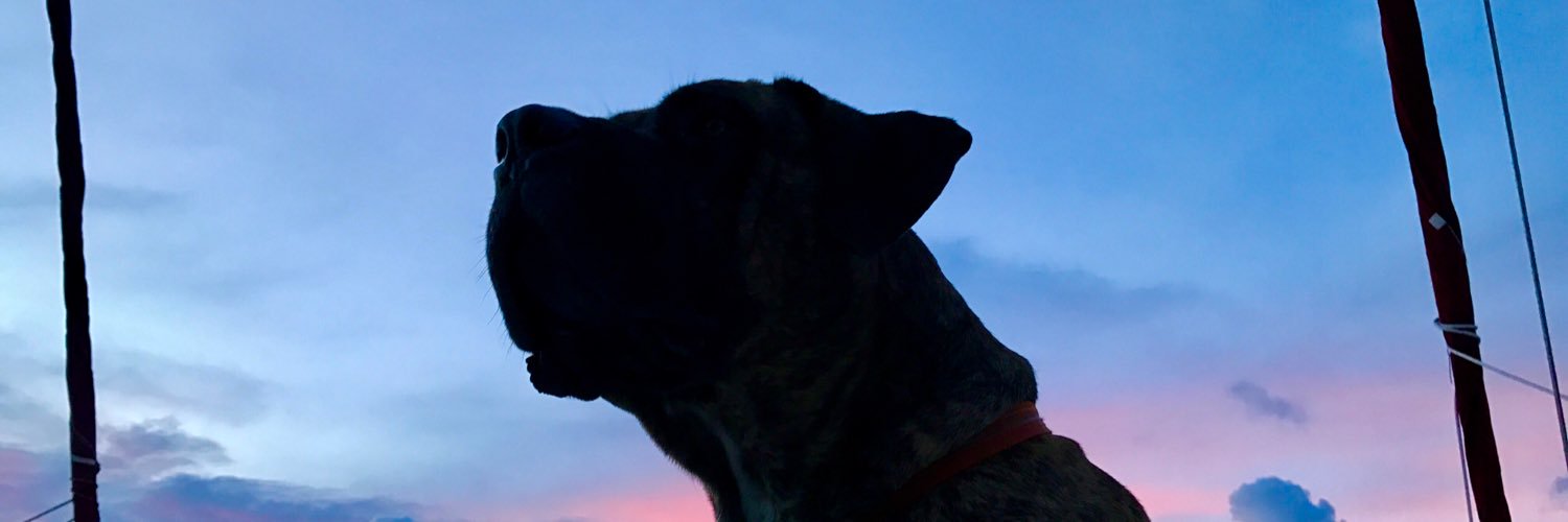 crazyjasonwalsh's profile banner image